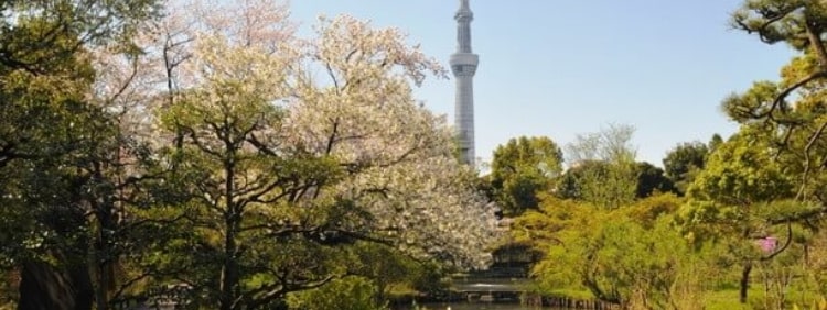 向島百花園 イメージ写真